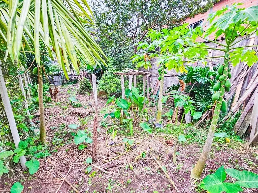 Casa, 4 quartos, 310 m² - Foto 21
