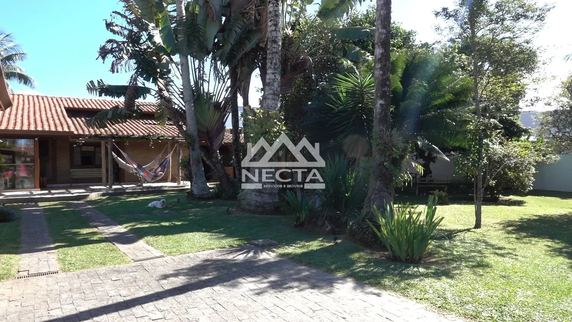 Casa, 4 quartos, 357 m² - Foto 39