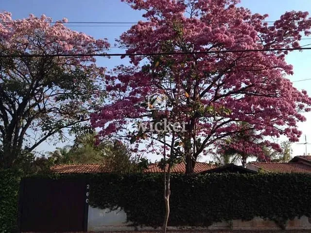 Casa com 930m² 3 quartos e 2 banheiros, à venda, no bairro Quinta da Bela Olinda em Bauru