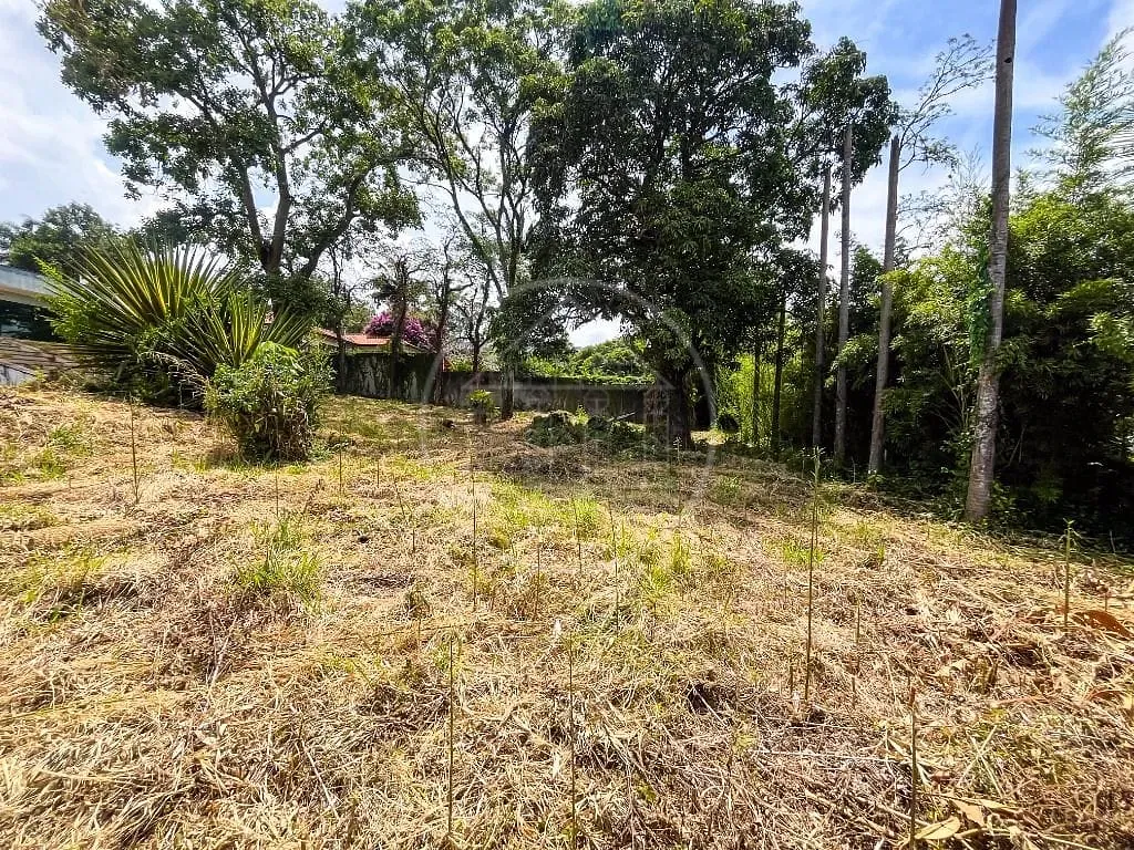 Casa, 6 quartos, 700 m² - Foto 14