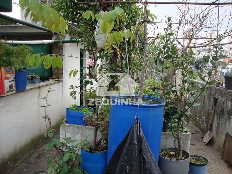 Casa para alugar com 3 quartos, 220m² - Foto 14