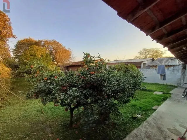 Casa com 600m² 3 quartos e 1 banheiro, à venda, no bairro Jardim Eugenia Maria em Campina Grande Do Sul
