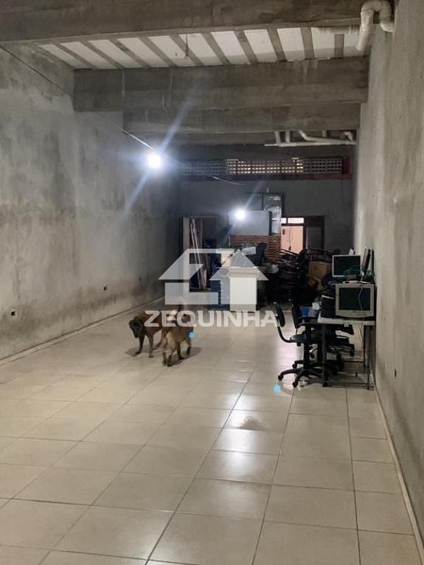 Casa, 4 quartos, 375 m² - Foto 17