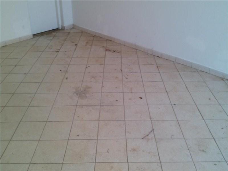 Casa, 3 quartos, 221 m² - Foto 3