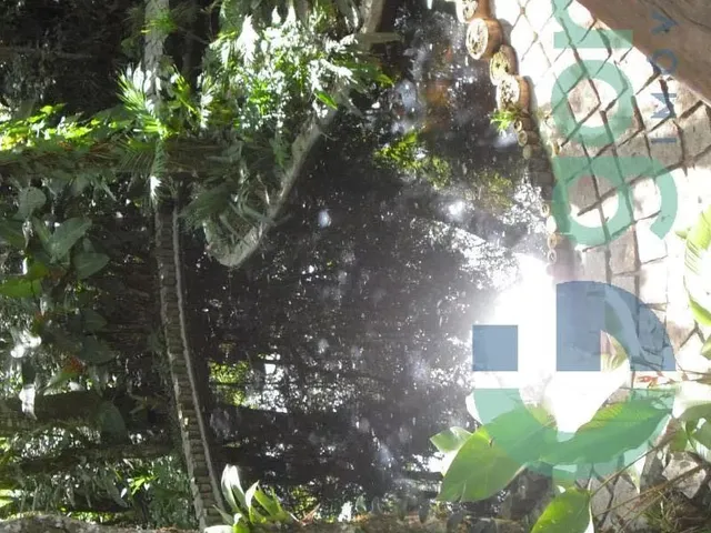 Casa com 4800m² 4 quartos e 4 banheiros, à venda, no bairro Não informado em Quatro Barras