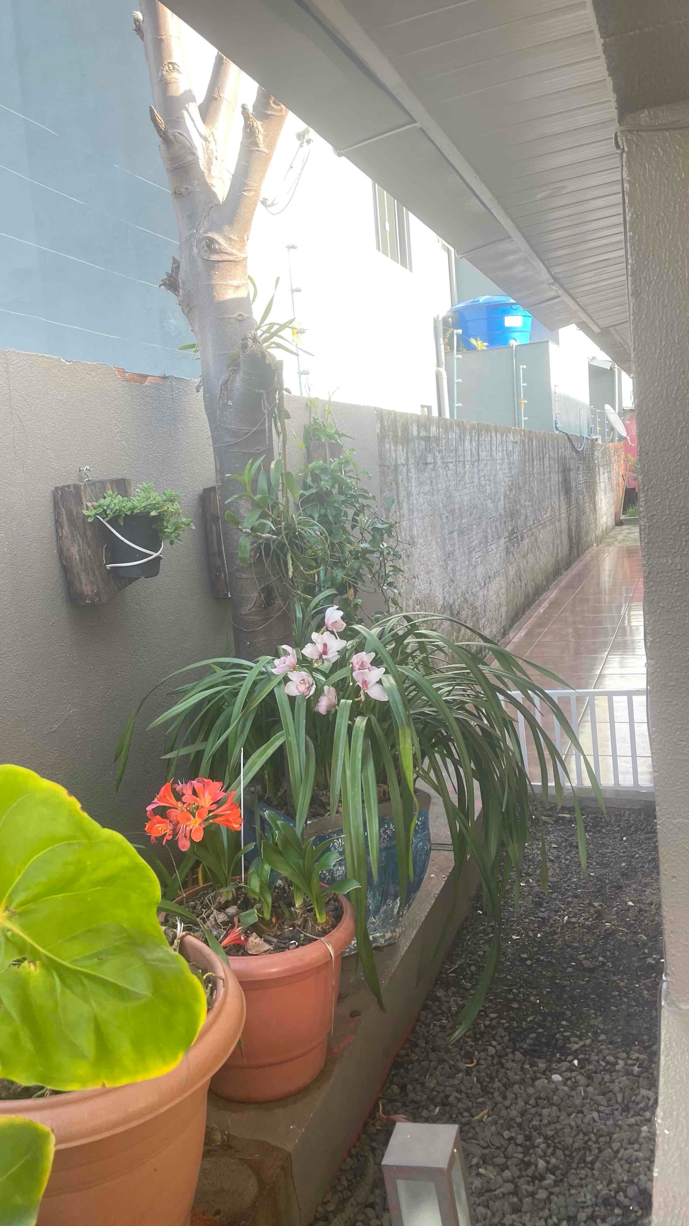 Foto 5 de casa em Chapecó