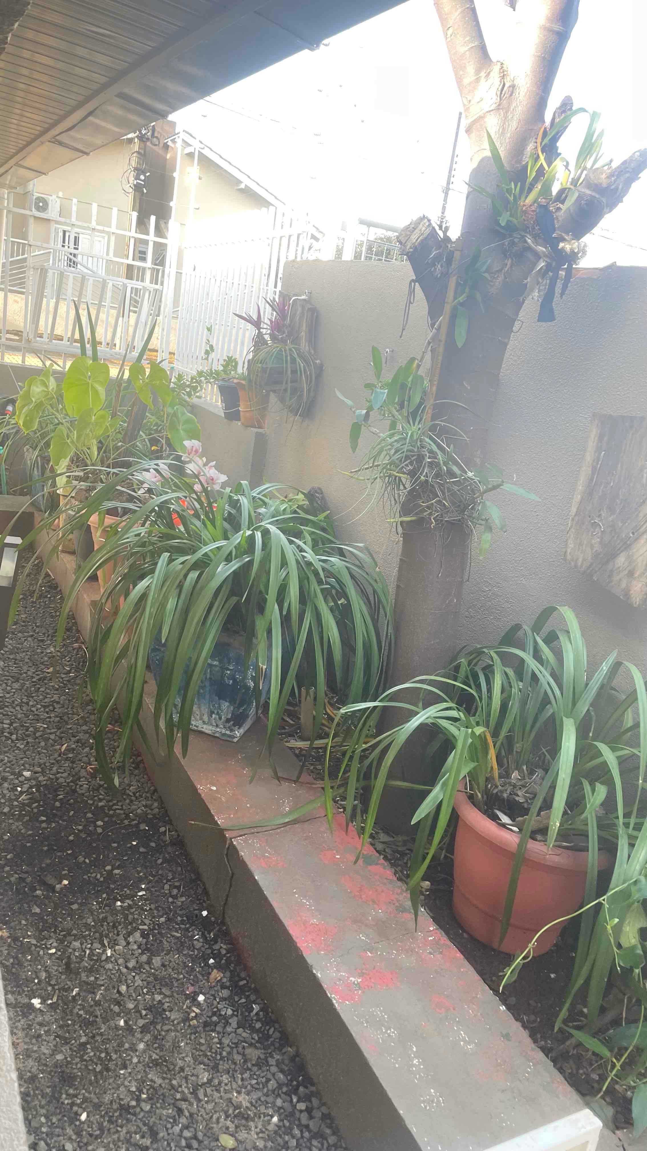 Foto 4 de casa em Chapecó