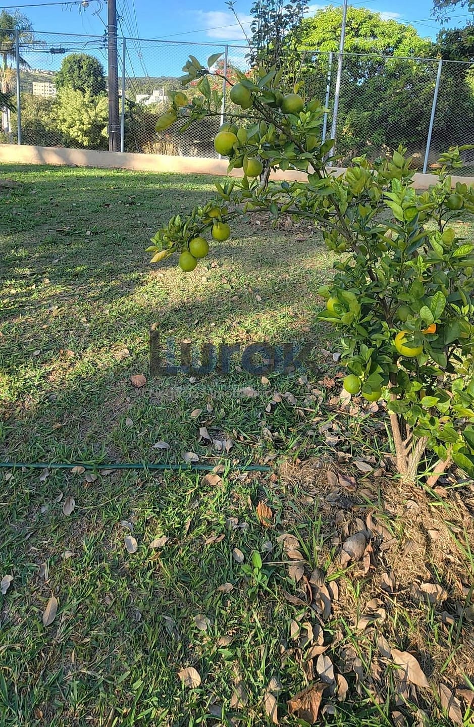 Casa, 4 quartos, 310 m² - Foto 35