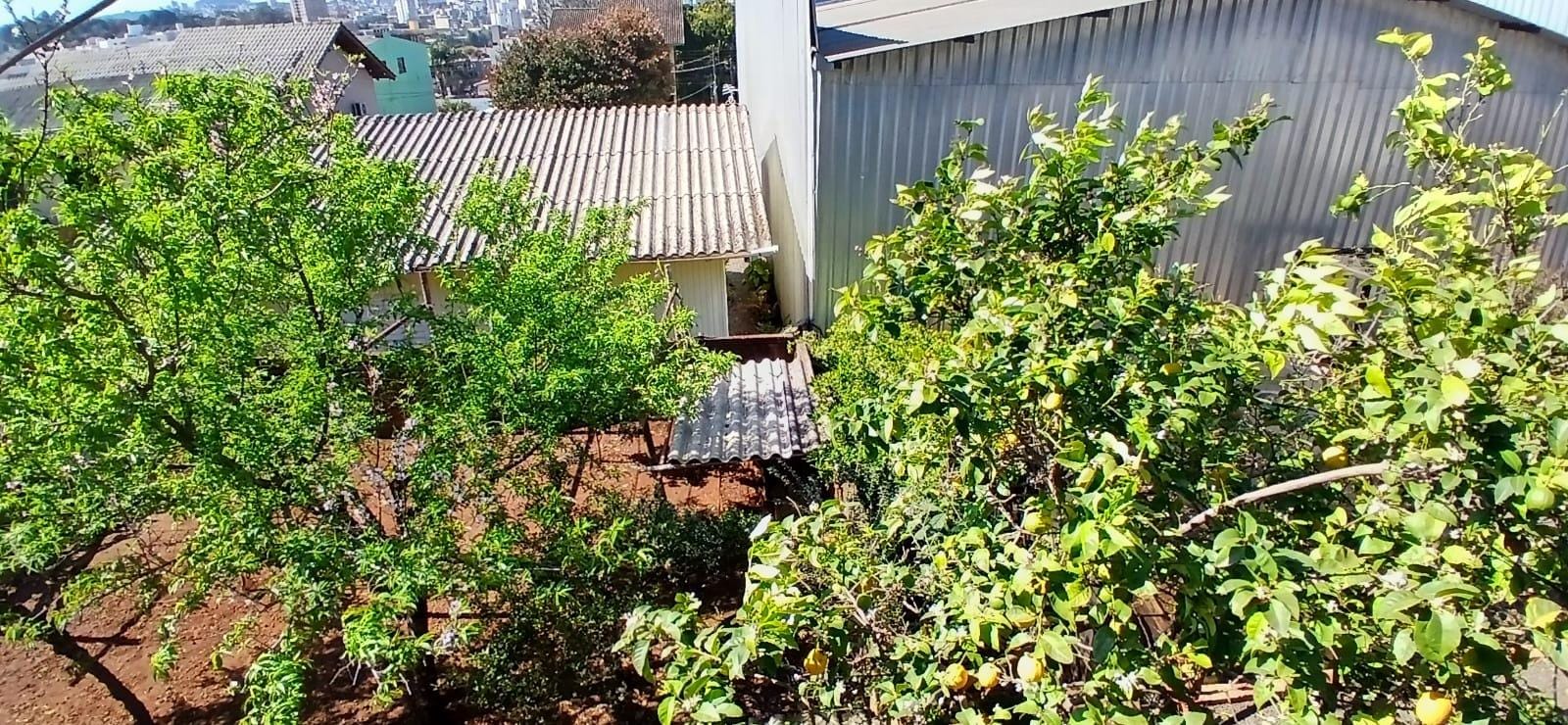 Foto 4 de casa em Chapecó