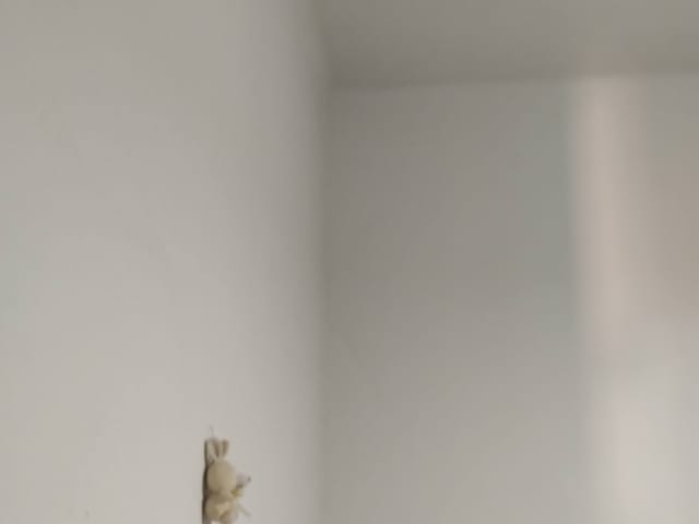 Casa 2 quartos e 2 banheiros, à venda, no bairro Iputinga em Recife