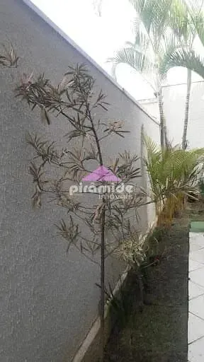Casa, 4 quartos, 330 m² - Foto 7