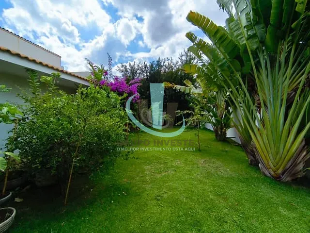 Casa com 480m² 4 quartos e 5 banheiros, à venda ou para alugar, no bairro PARQUE RESIDENCIAL DAMHA em ARARAQUARA