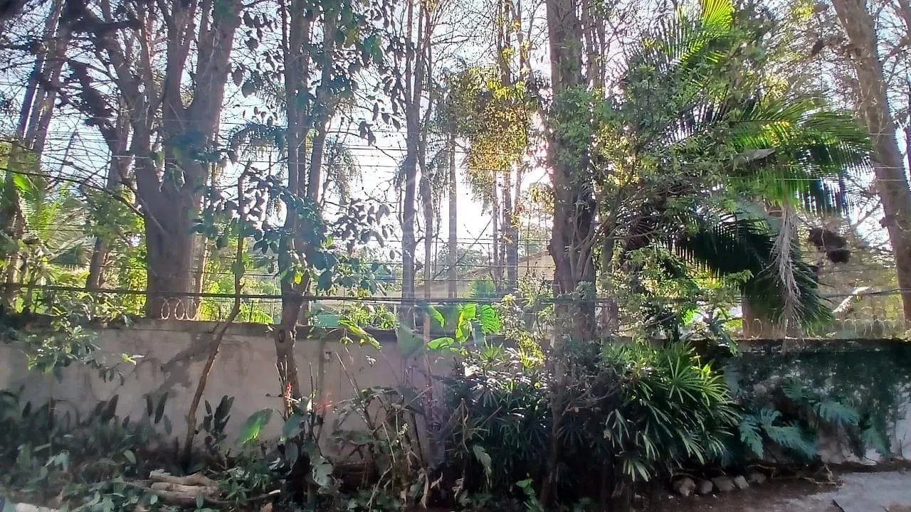 Casa, 3 quartos, 249 m² - Foto 3
