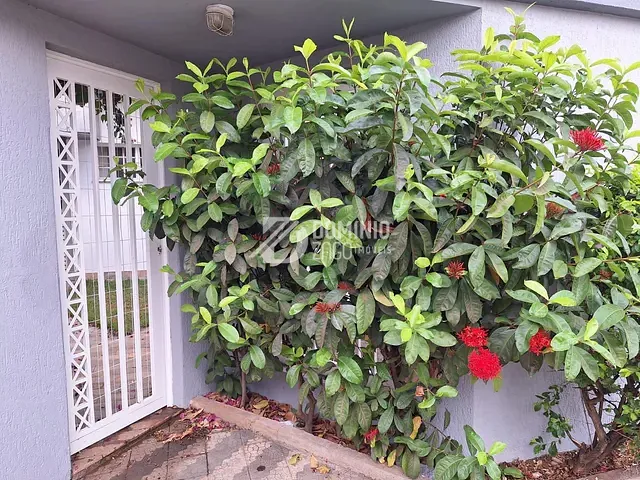 Casa 4 quartos e 3 banheiros, à venda, no bairro Jardim São Bento em Uberaba