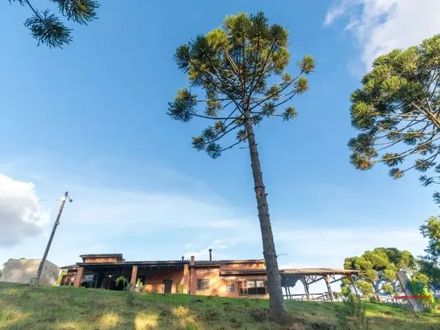 Casa 3 quartos e 4 banheiros, à venda, no bairro GUABIROBA em Campo Largo
