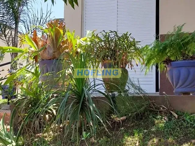 Casa com 1225m² 1 quarto e 1 banheiro, à venda, no bairro Residencial Florença em Rio Claro