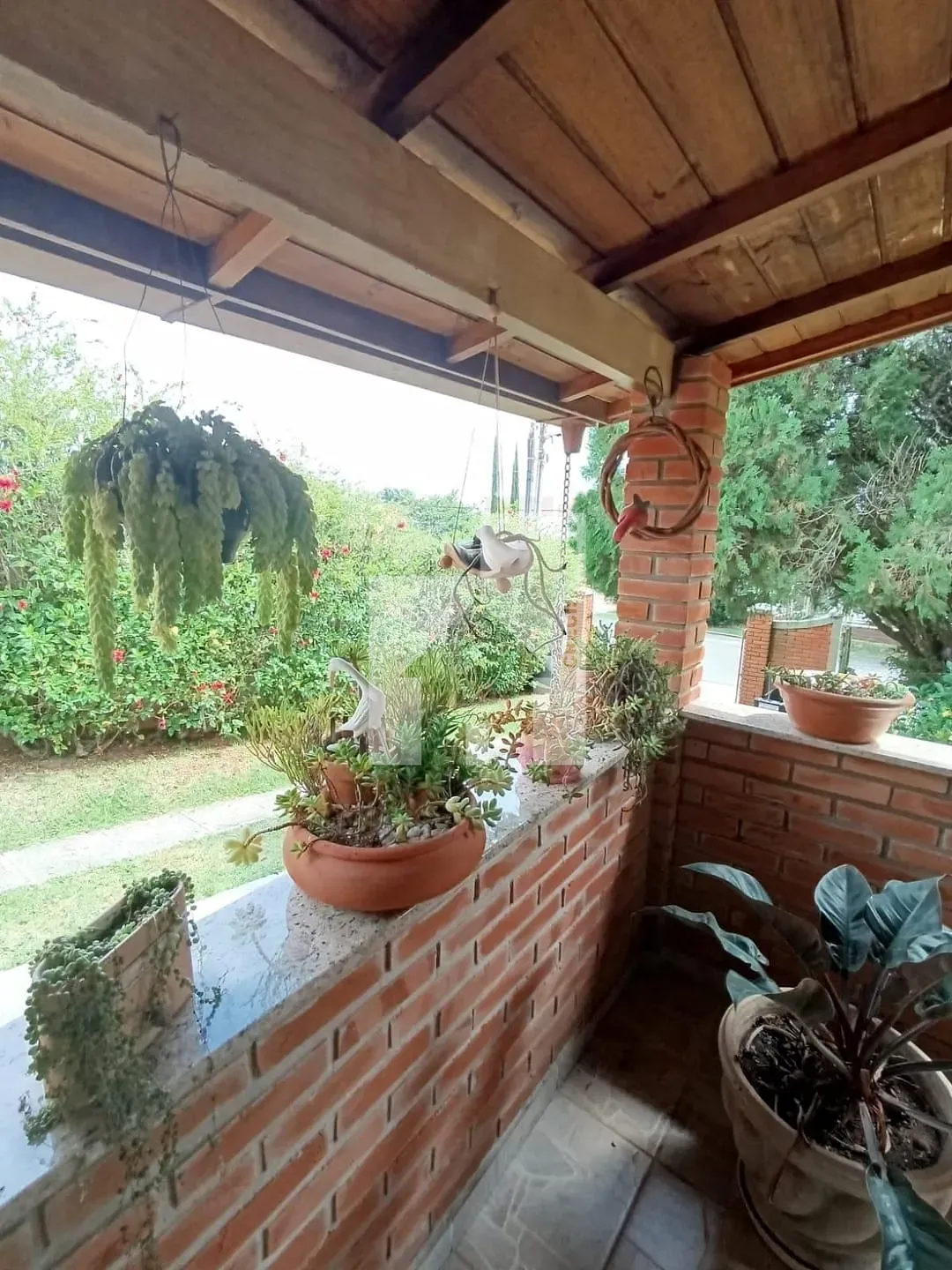 Foto 11
