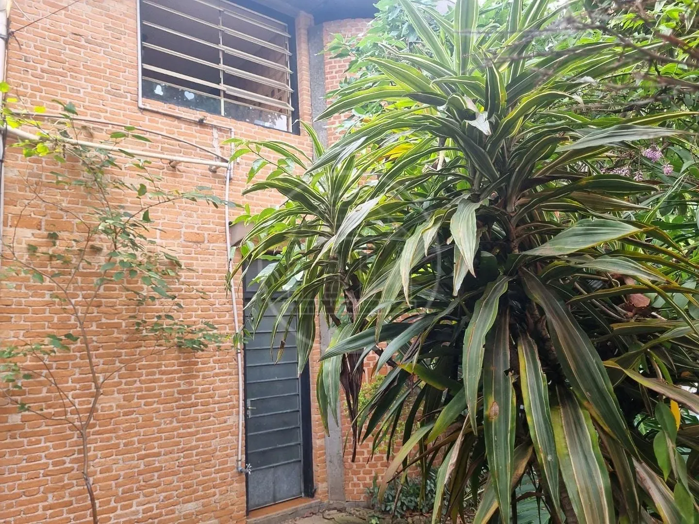 Casa, 4 quartos, 365 m² - Foto 10
