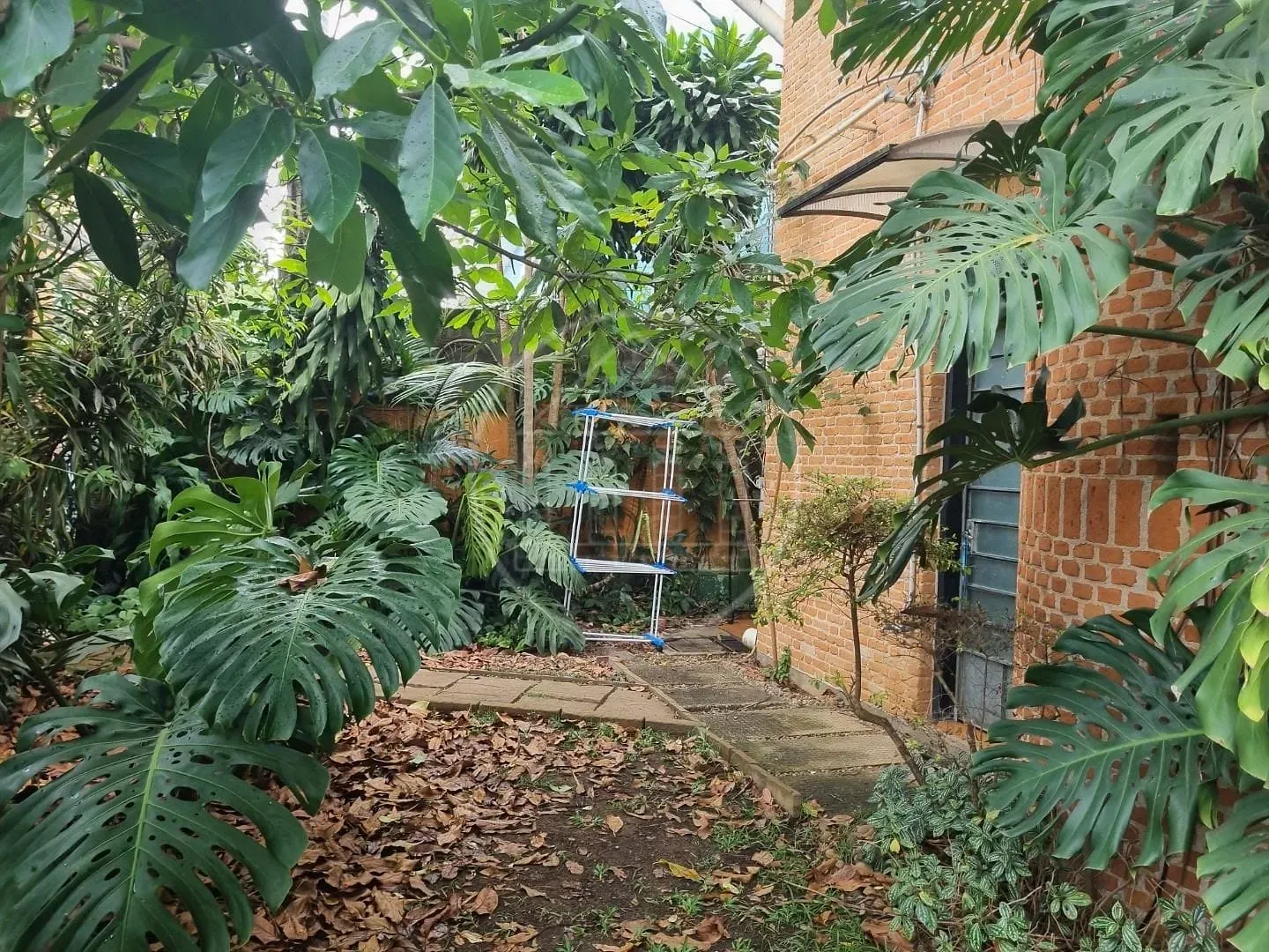 Casa, 4 quartos, 365 m² - Foto 7