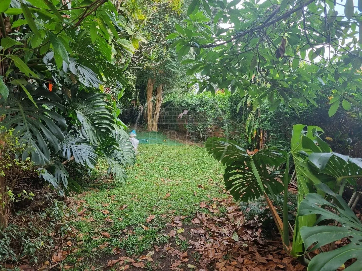 Casa, 4 quartos, 365 m² - Foto 2