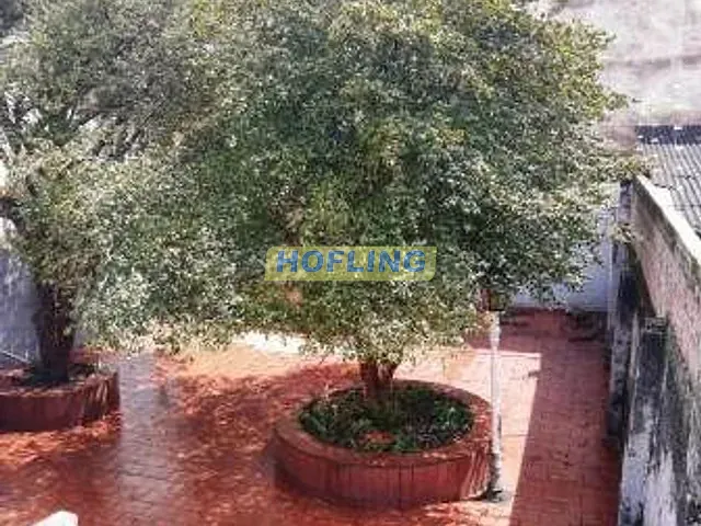 Casa com 370m² 5 quartos e 4 banheiros, à venda, no bairro Centro em Rio Claro