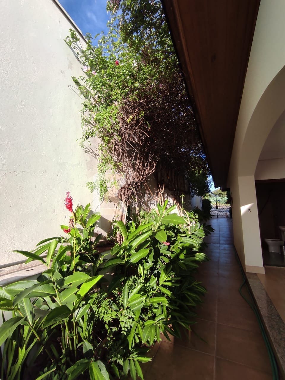 Casa, 4 quartos, 10 m² - Foto 49