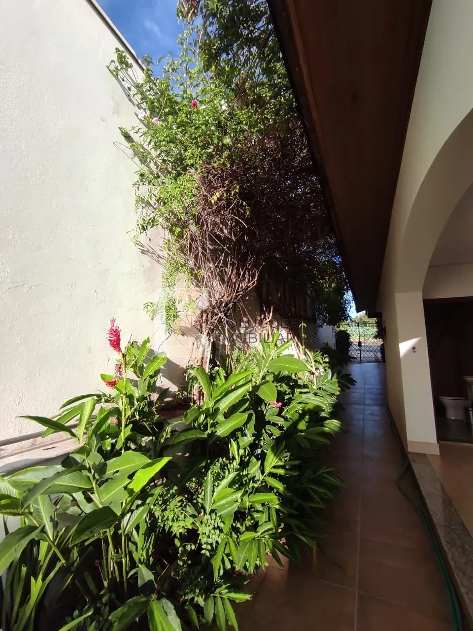 Casa, 4 quartos, 10 m² - Foto 49