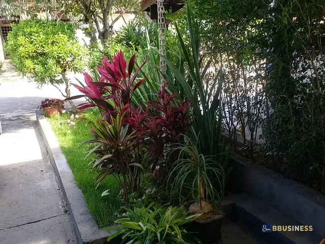 Casa com 231m² 2 quartos e 2 banheiros, à venda, no bairro Tijuco Preto em Vargem Grande Paulista