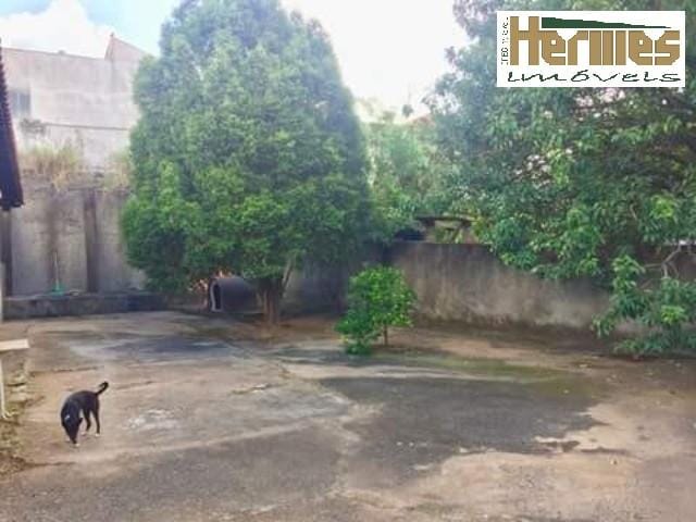 Casa, 3 quartos, 281 m² - Foto 4