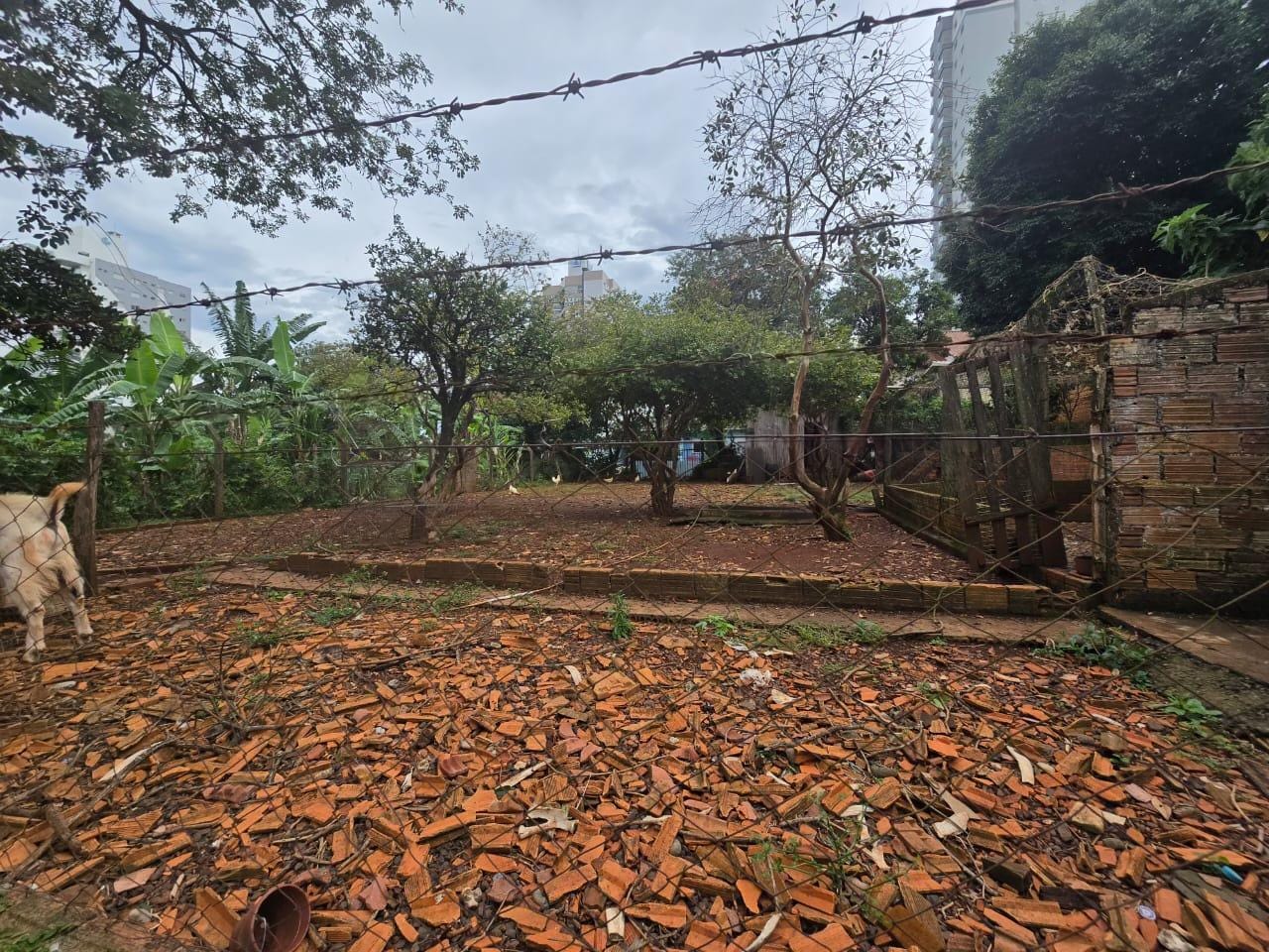Foto 5 de casa em Chapecó