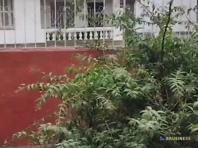 Casa com 195m² 2 quartos e 1 banheiro, à venda, no bairro Nova Gerty em São Caetano do Sul