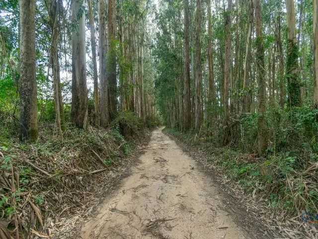 Casa à venda, no bairro BATEIAS em Campo Largo