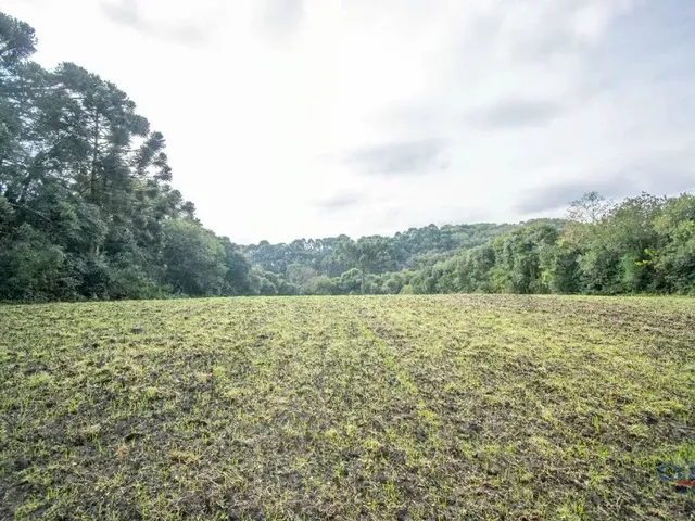 Casa à venda, no bairro BATEIAS em Campo Largo