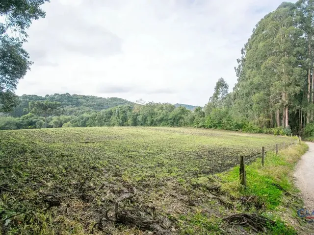 Casa à venda, no bairro BATEIAS em Campo Largo