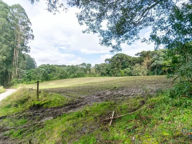 Casa à venda, no bairro BATEIAS em Campo Largo