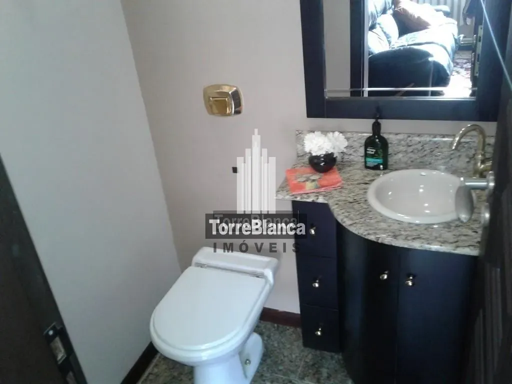 Casa, 4 quartos, 300 m² - Foto 6