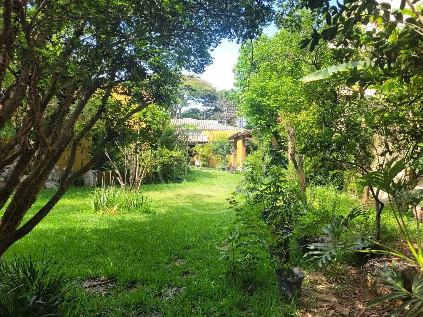 Casa, 4 quartos, 980 m² - Foto 19