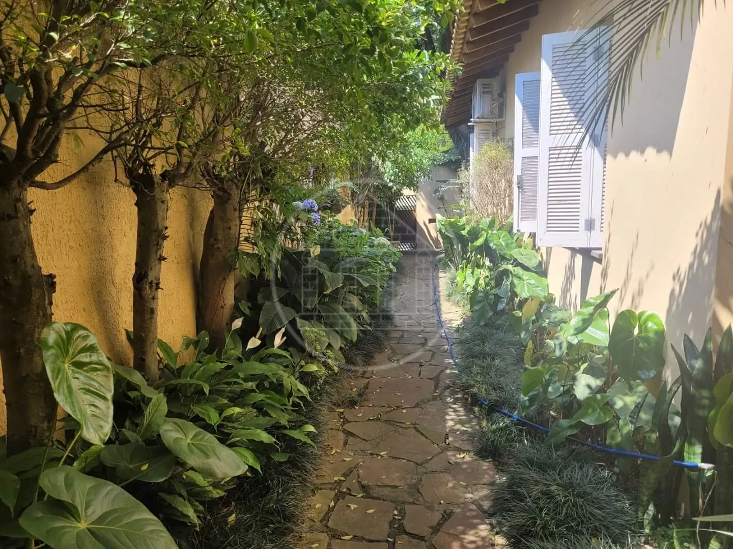 Casa, 4 quartos, 980 m² - Foto 17