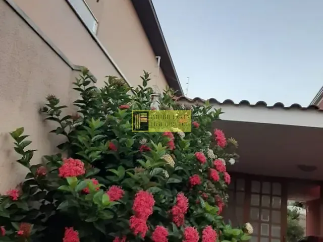 Casa com 450m² 3 quartos e 1 banheiro, à venda, no bairro Jardim Morumbi em São José do Rio Preto