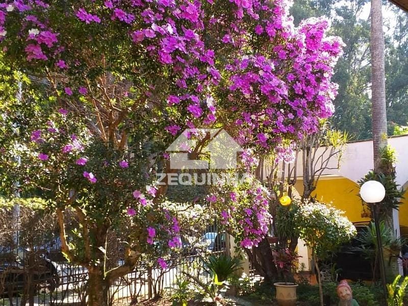 Casa, 4 quartos, 360 m² - Foto 19