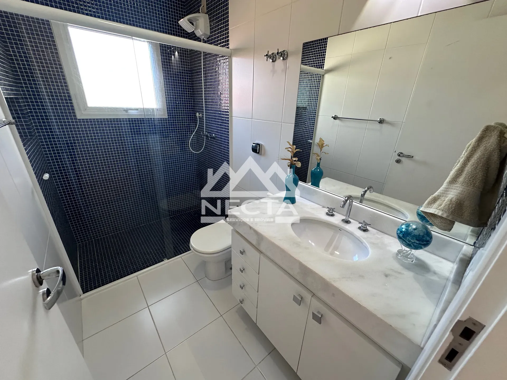 Casa, 5 quartos, 308 m² - Foto 64