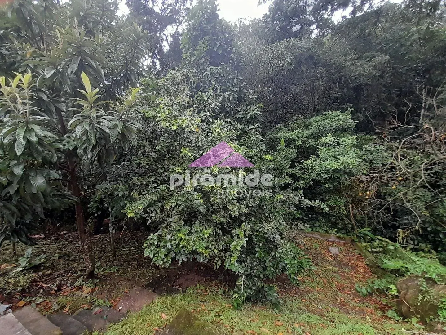 Casa, 4 quartos, 300 m² - Foto 11