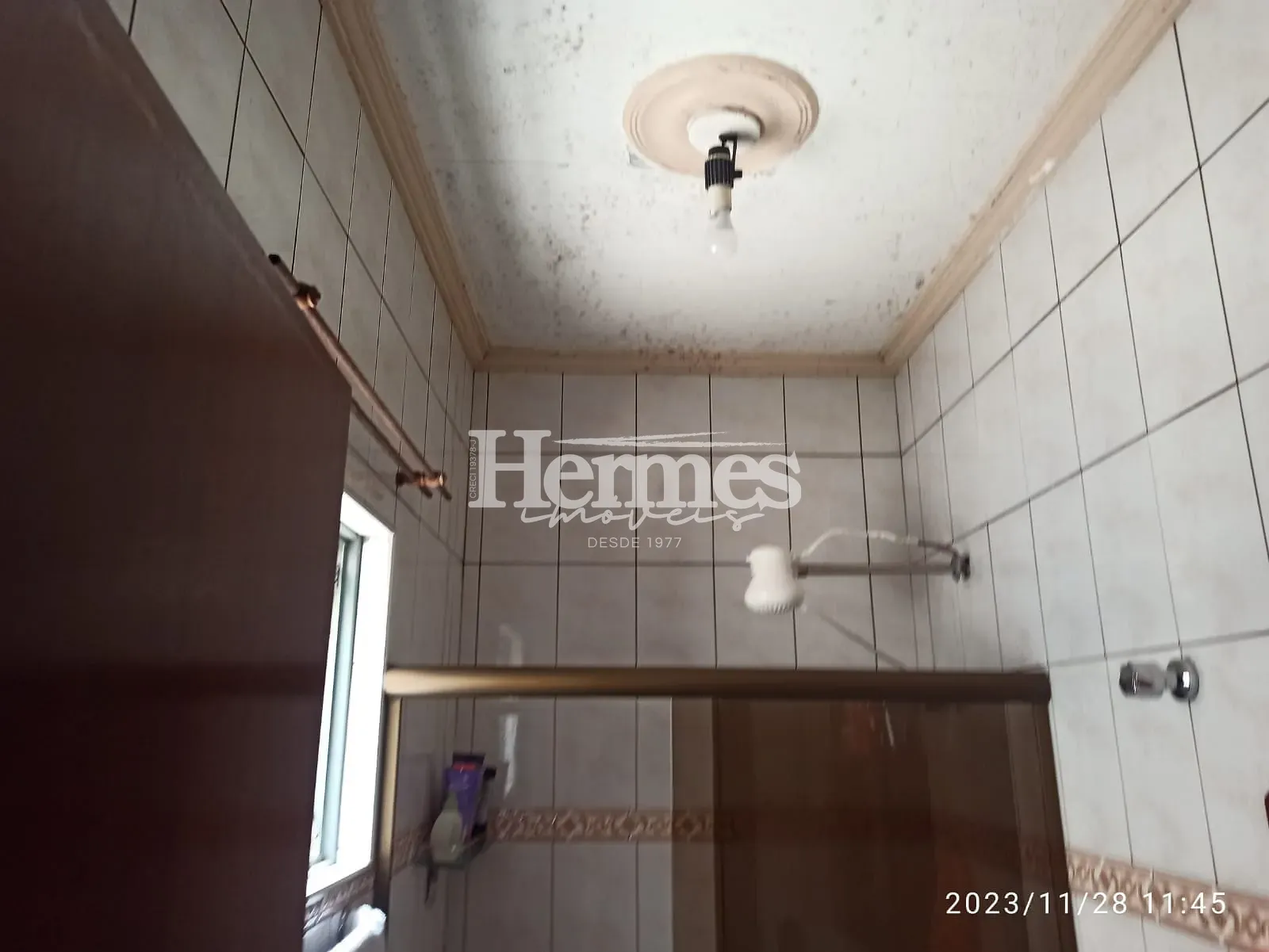 Casa, 3 quartos, 184 m² - Foto 31