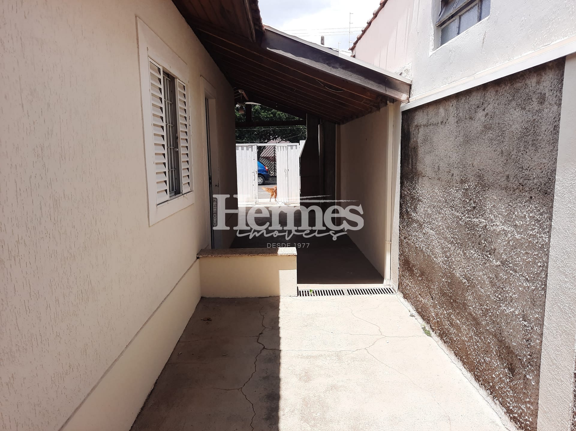 Casa à venda com 3 quartos, 110m² - Foto 14