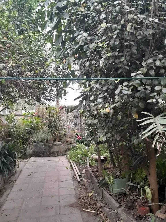 Casa, 5 quartos, 178 m² - Foto 7