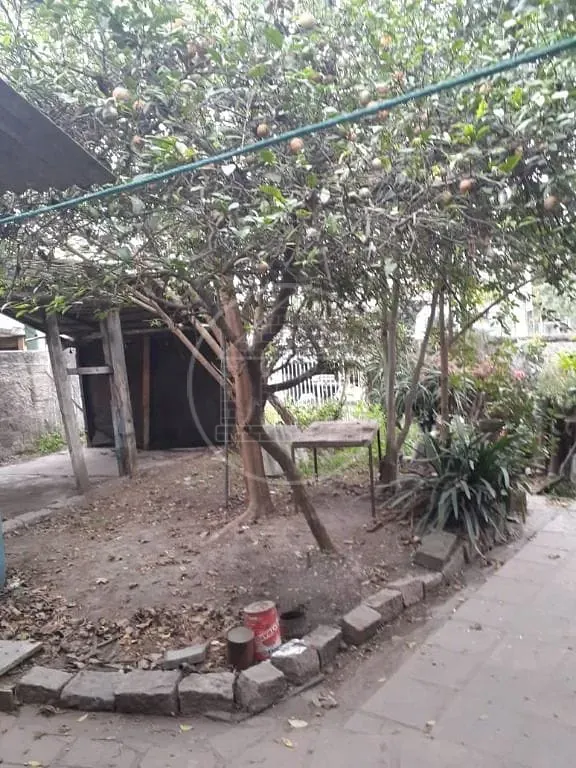 Casa, 5 quartos, 178 m² - Foto 8
