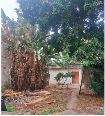 Casa com 630m² 3 quartos e 3 banheiros, à venda, no bairro Parque Califórnia em Campos dos Goytacazes