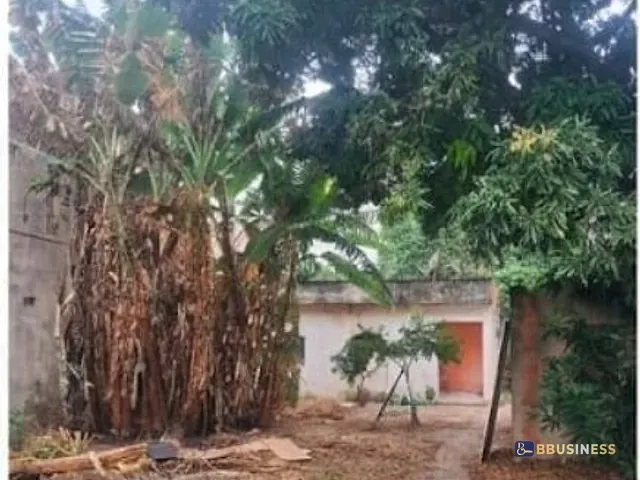 Casa com 630m² 3 quartos e 3 banheiros, à venda, no bairro Parque Califórnia em Campos dos Goytacazes