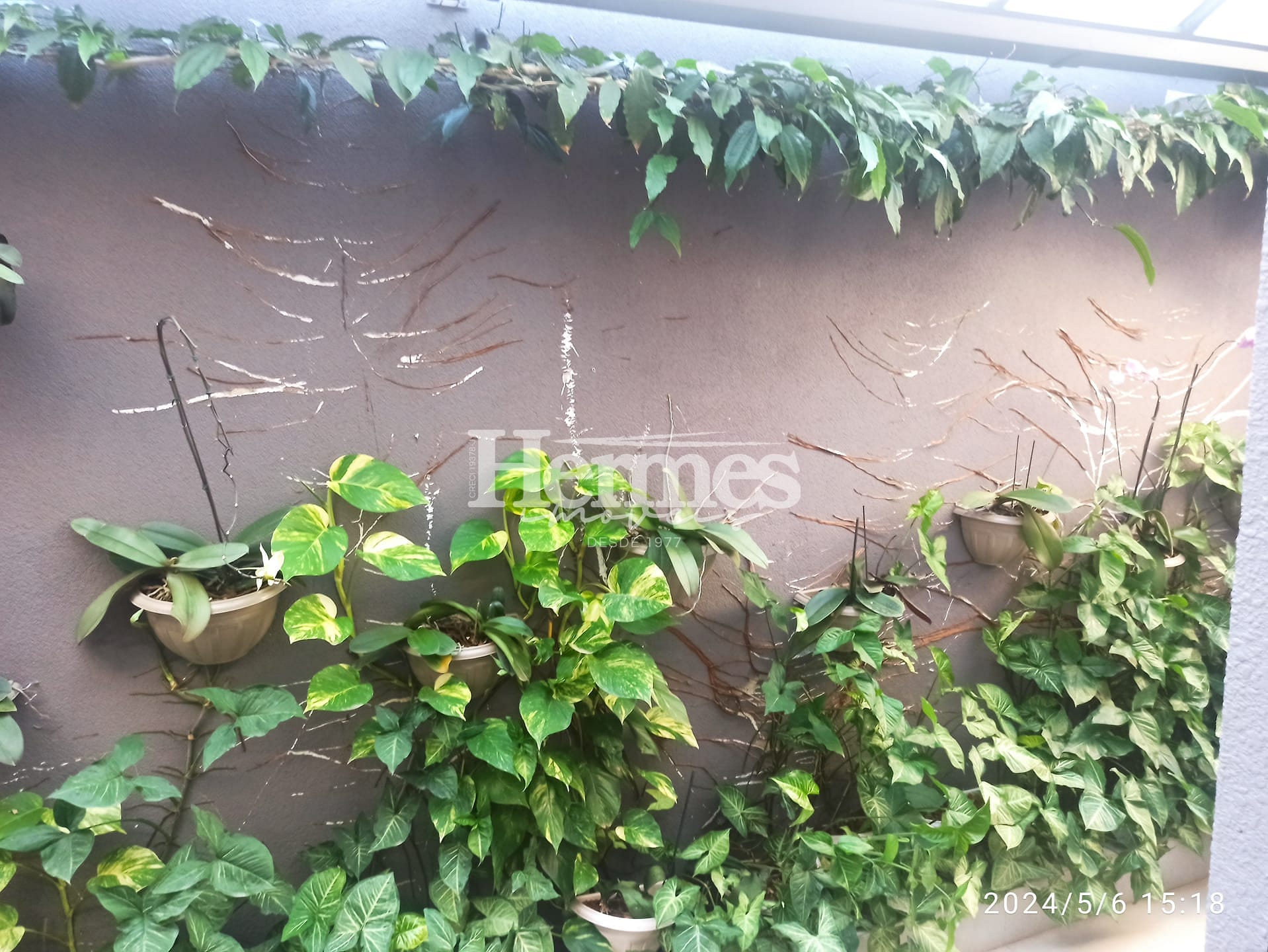 Casa, 3 quartos, 165 m² - Foto 41