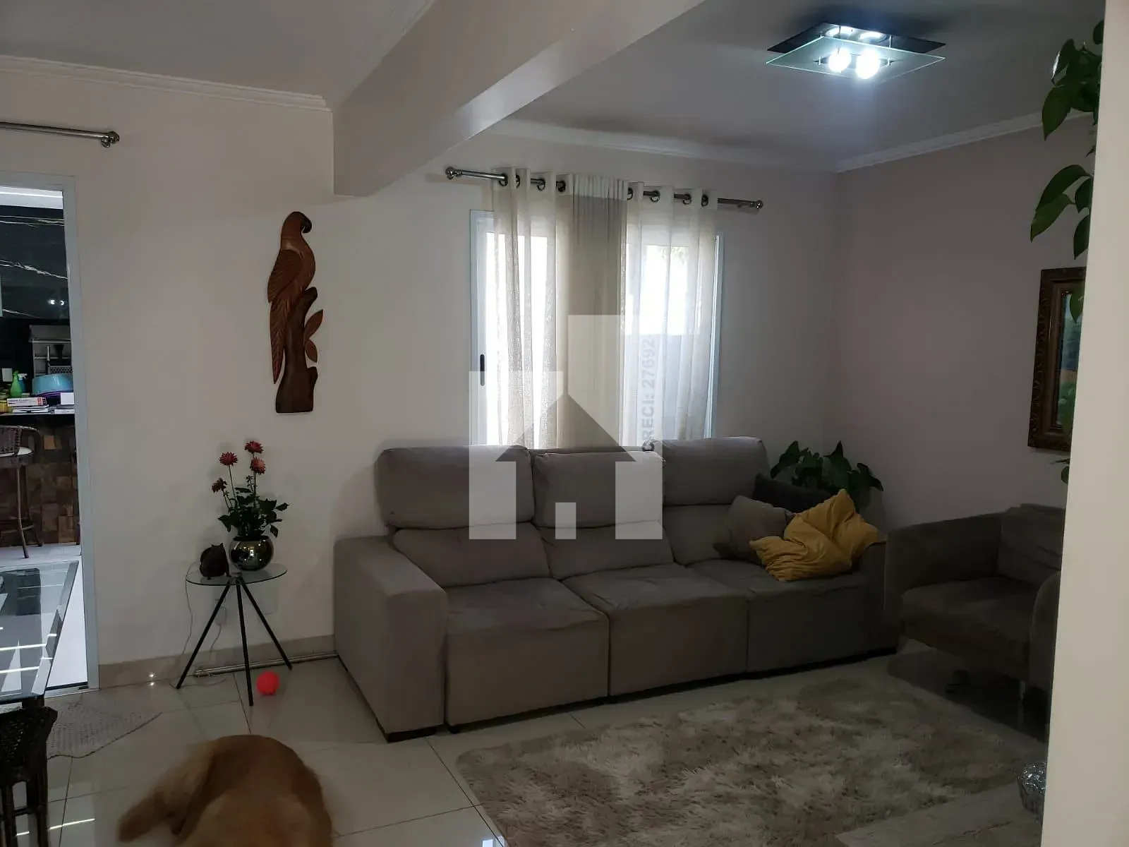 Foto 13